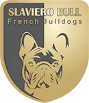 Logo Slaviero Bull Buldogue Francês